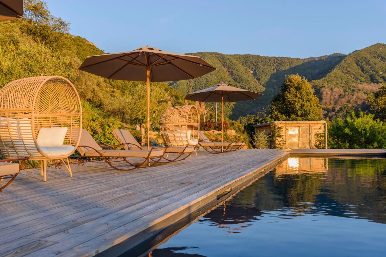 Terre De Maquis, Maison D'Hotes Vue Mer Corse Sari-D'orcino Exteriör bild