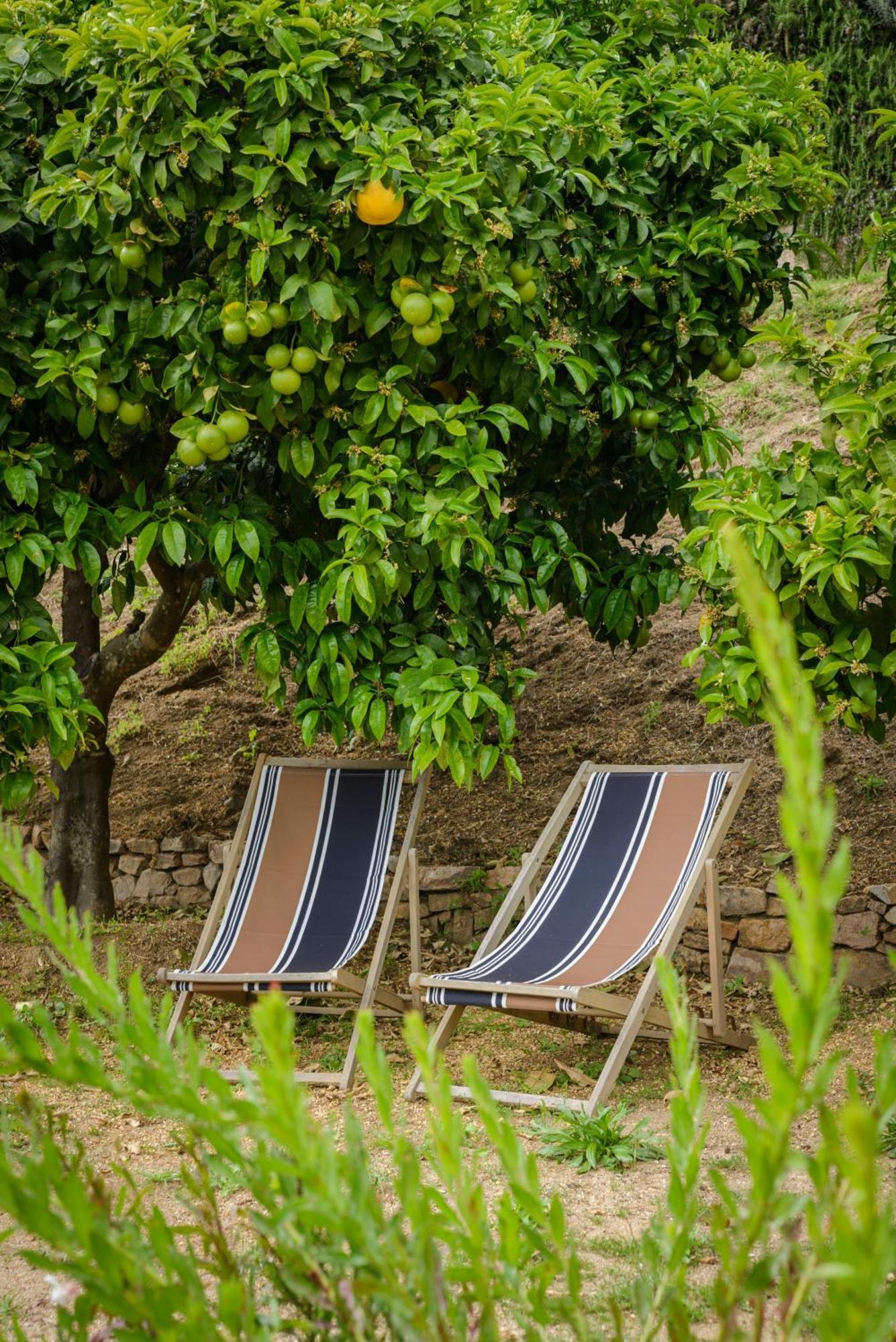 Terre De Maquis, Maison D'Hotes Vue Mer Corse Hotell Sari-D'orcino Exteriör bild